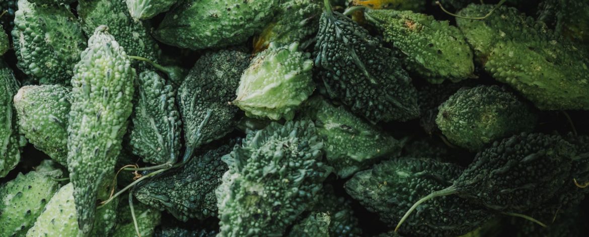 goh-rhy-yan-PyBocTfwLj0-unsplash goh-rhy-yan-PyBocTfwLj0-unsplash