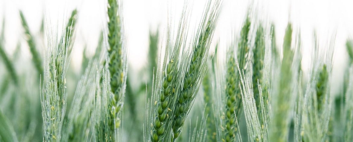 kristaps-ungurs-CDjqENI2XZE-unsplash.jpg kristaps-ungurs-CDjqENI2XZE-unsplash.jpg